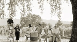 Image Copyright Kristen Ashe Vineyards