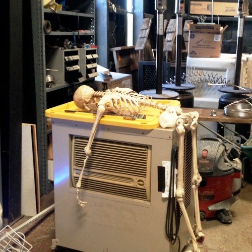 Bob the Skeleton