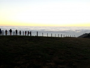 Big Sur Wine Food 2014 1817