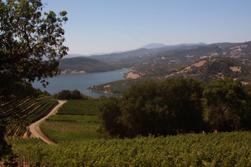 Gandona - Napa Wine Project